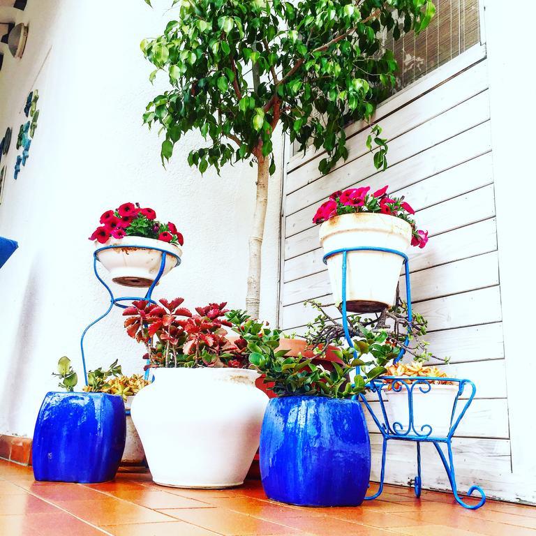 Villa Cetta B&B San Leone Εξωτερικό φωτογραφία